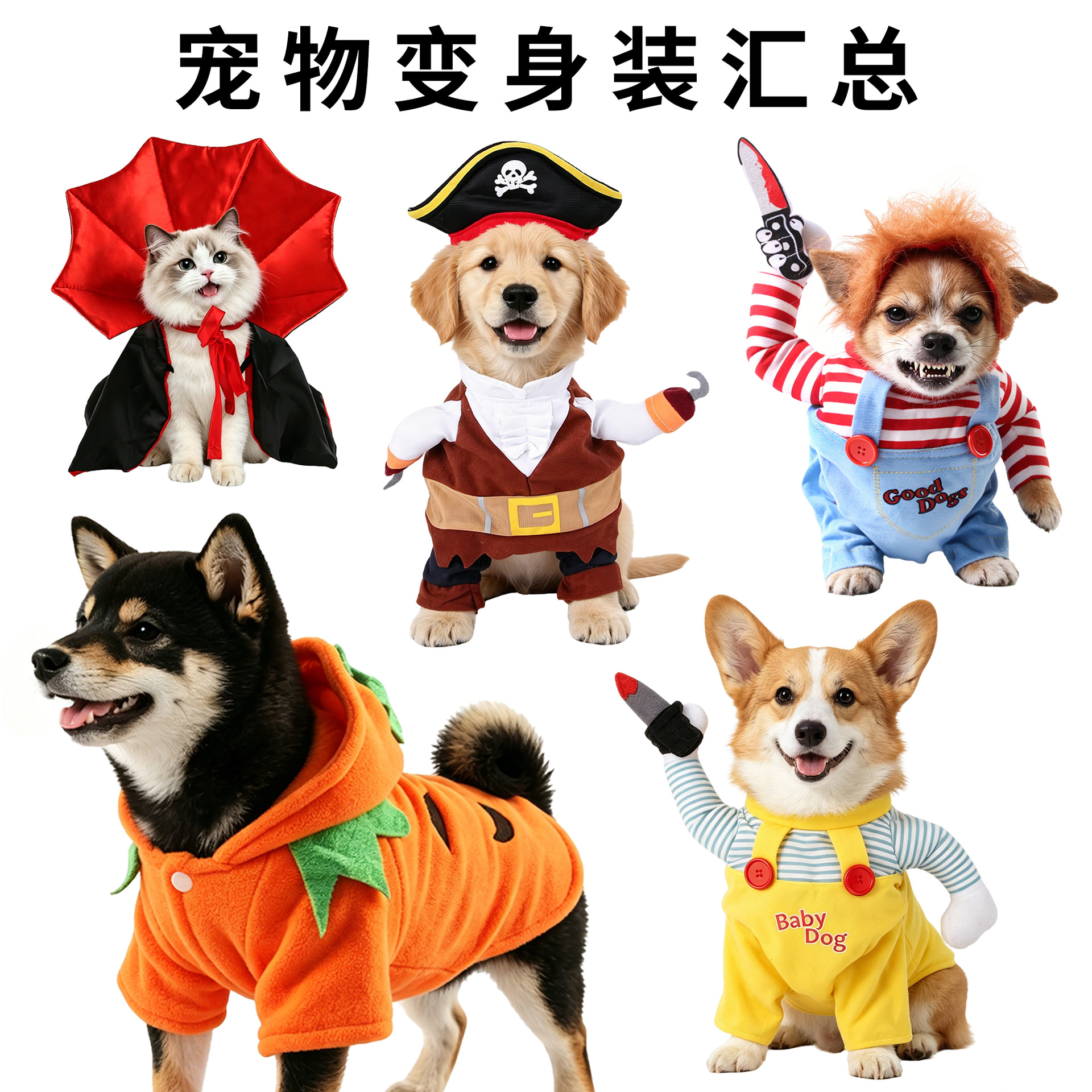 Cute Halloween costumes for pets
